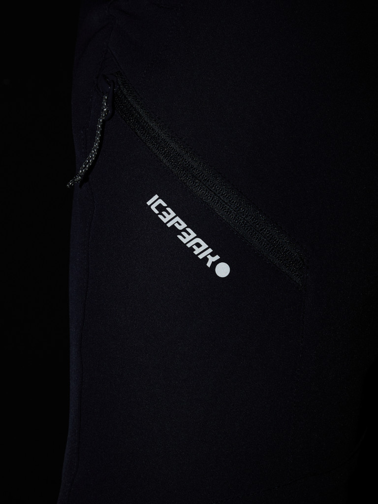 Брюки утепленные мужские IcePeak Vreden