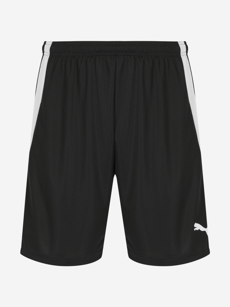 Шорты мужские PUMA teamLIGA
