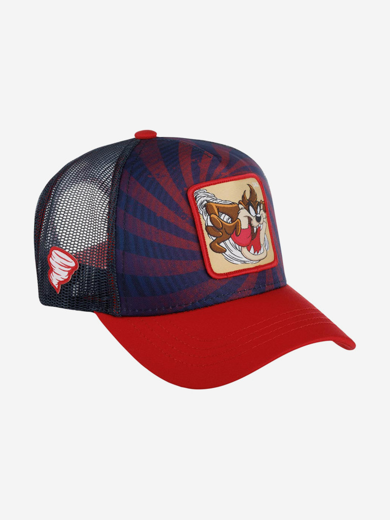 Бейсболка с сеточкой CAPSLAB CL/LOO5/1/TAZ2 Looney Tunes Taz