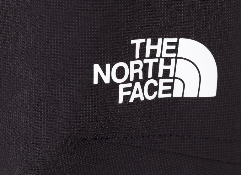 Брюки мужские The North Face Mezurashi