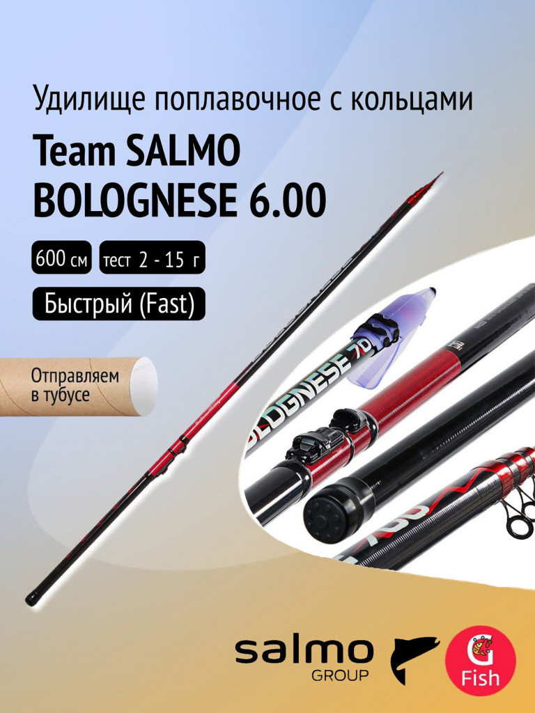 Удилище поплавочное с кольцами Team Salmo BOLOGNESE 6.00