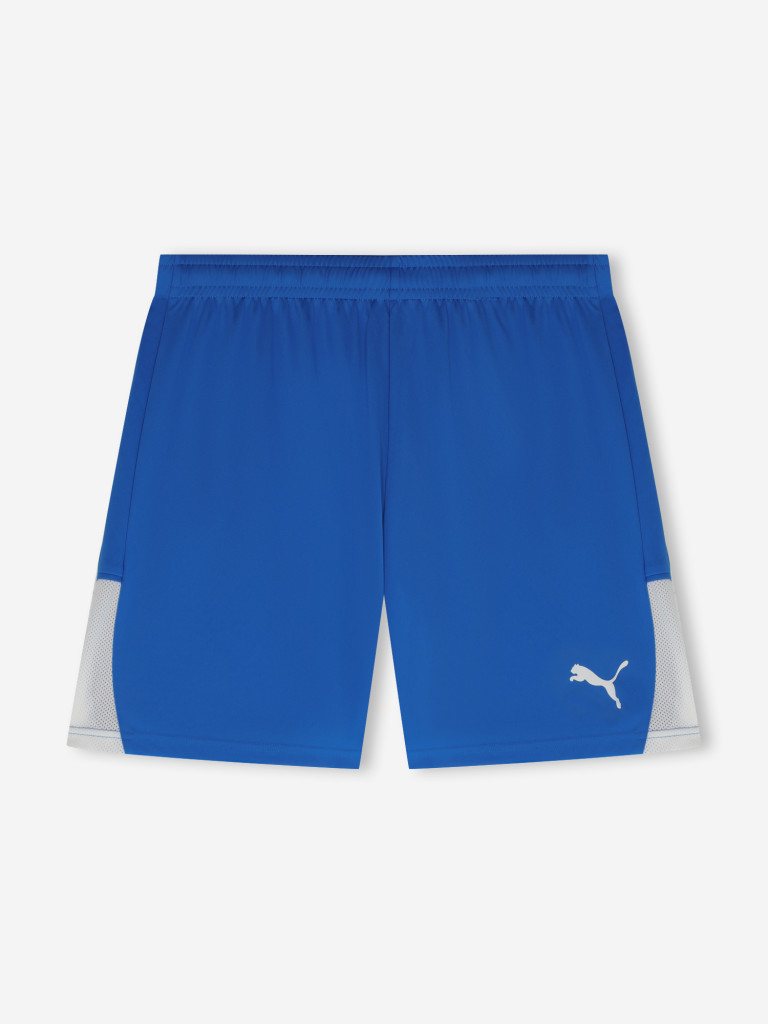 Шорты мужские PUMA Teamliga26
