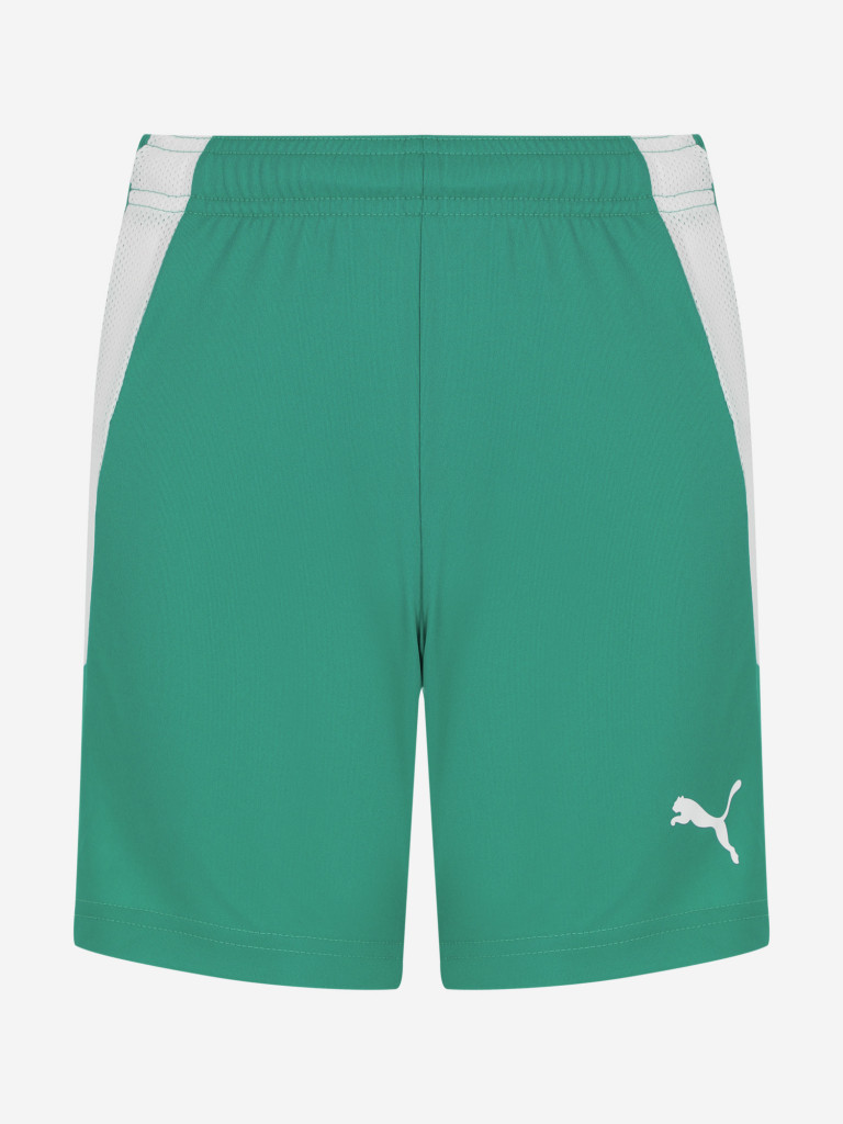 Шорты для мальчиков PUMA Teamliga Jr