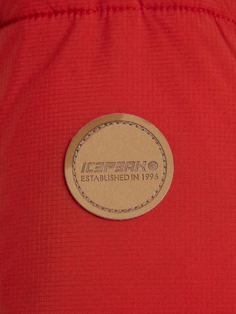 Куртка утепленная мужская IcePeak Bristol