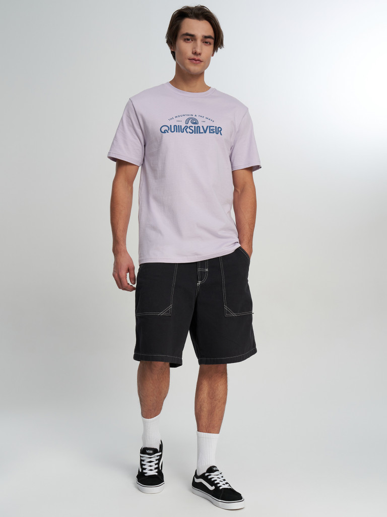 Футболка мужская Quiksilver Ev Vista