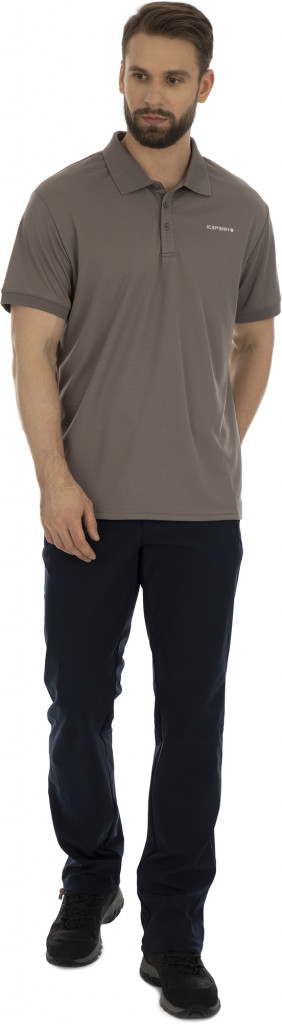 Брюки мужские IcePeak Tavi