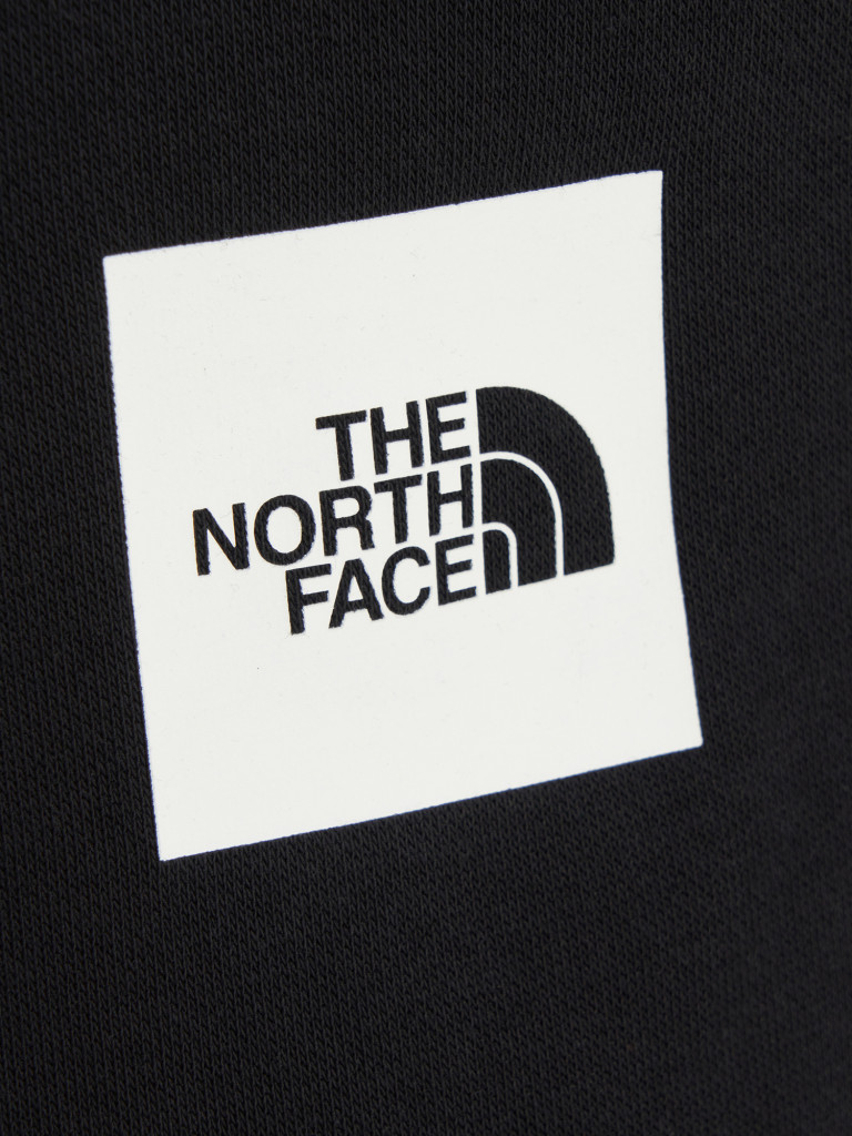 Брюки мужские The North Face Fine