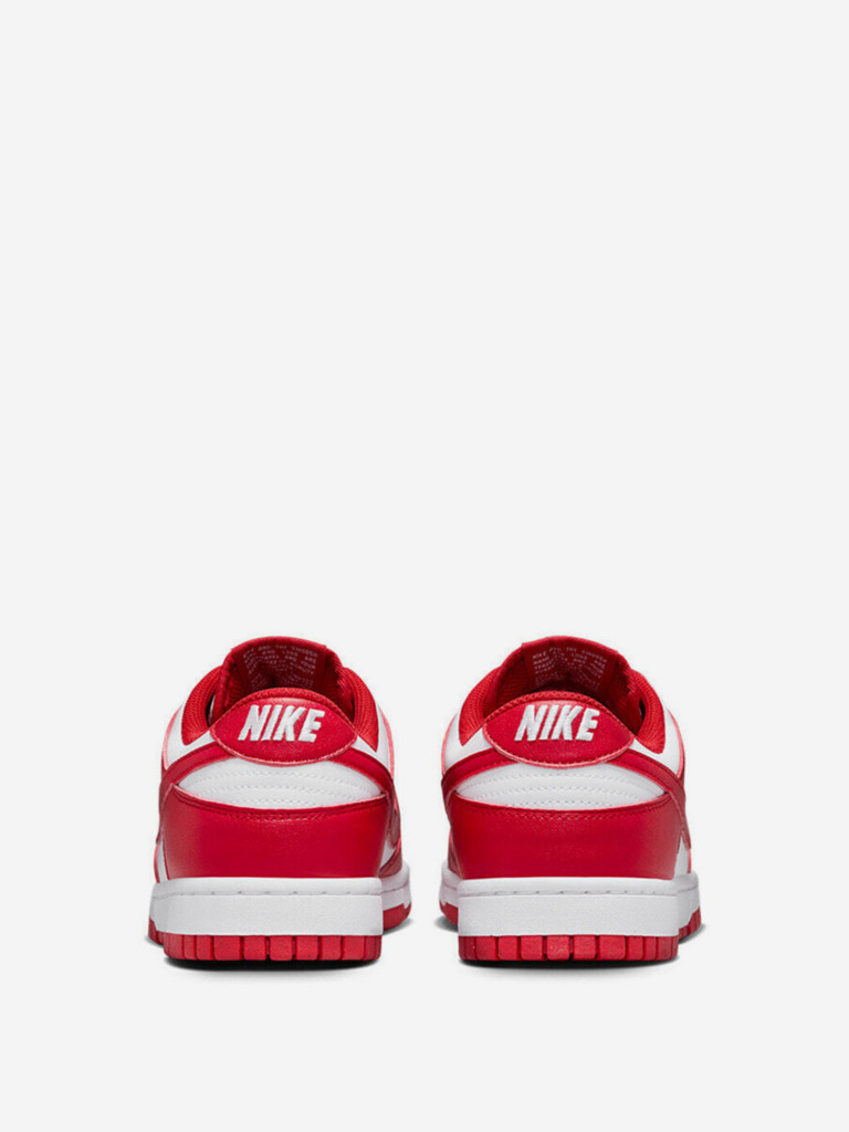 Кроссовки Nike Dunk Low Next Nature