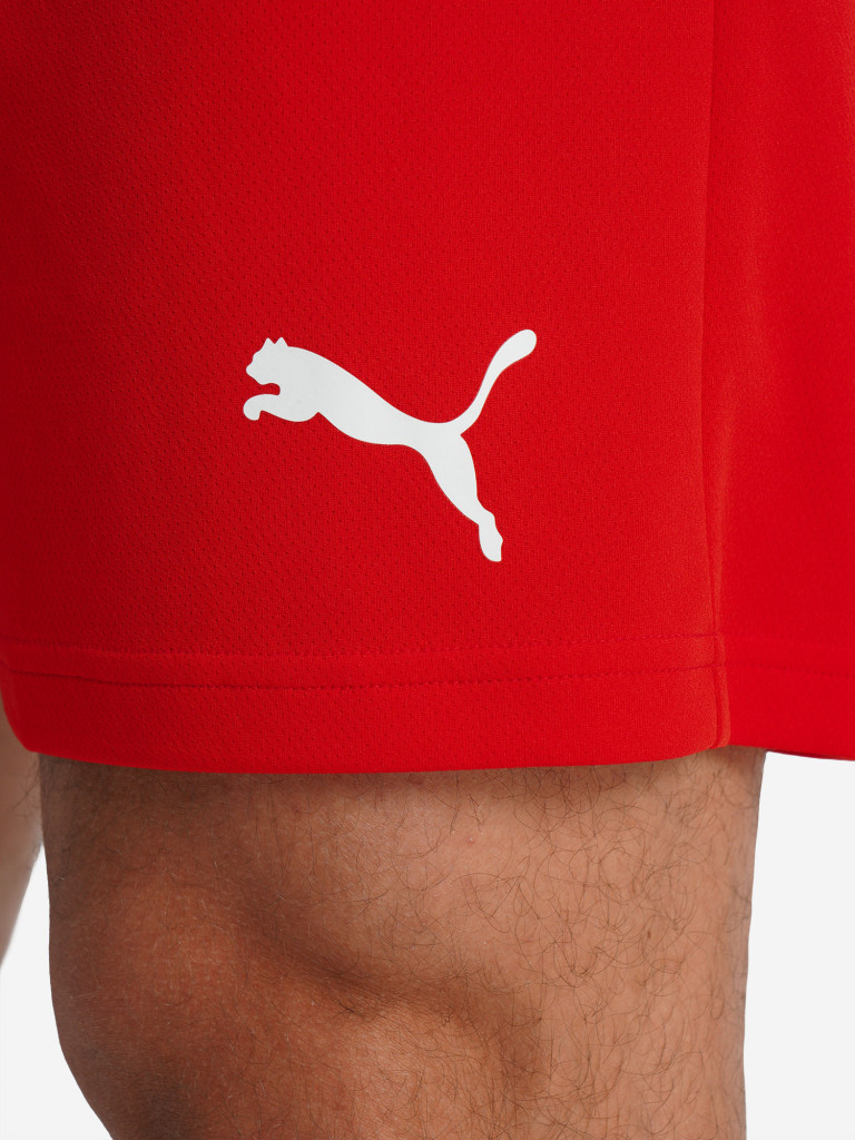 Шорты мужские PUMA Teamrise