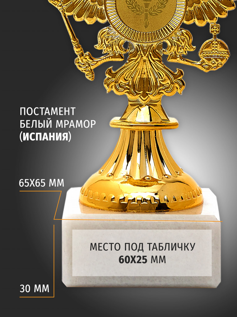 Кубок спортивный для награждения победителей 27.5 см