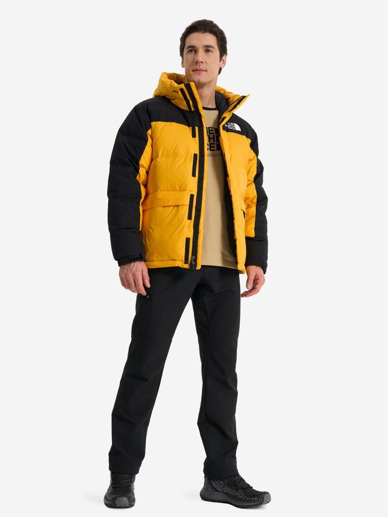 Пуховик мужской The North Face Hmlyn