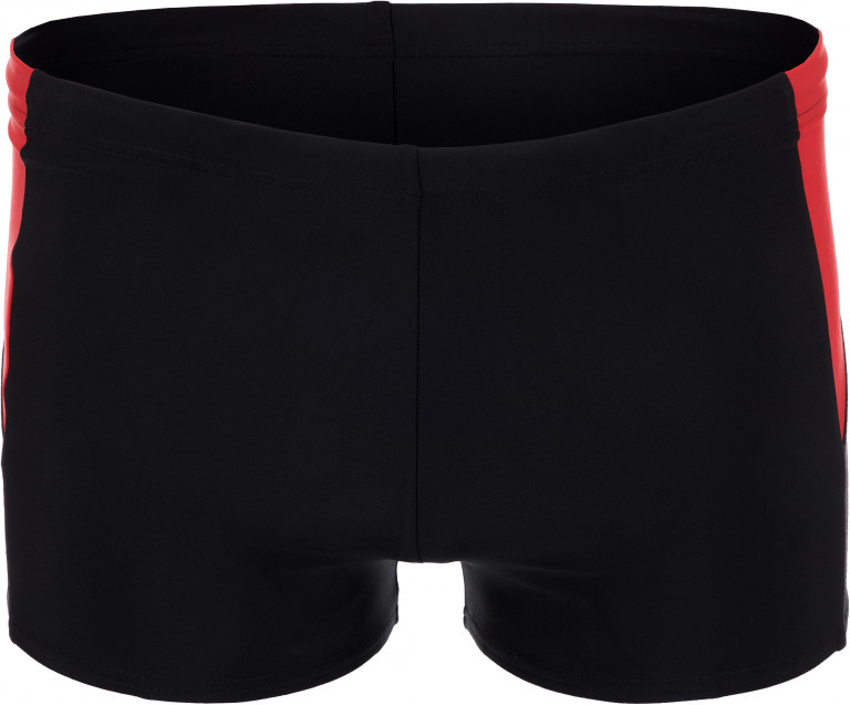 Плавки-шорты мужские Speedo Dive