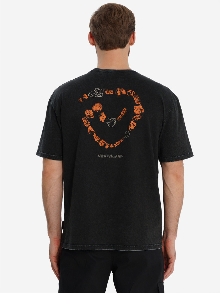 Футболка мужская Northland