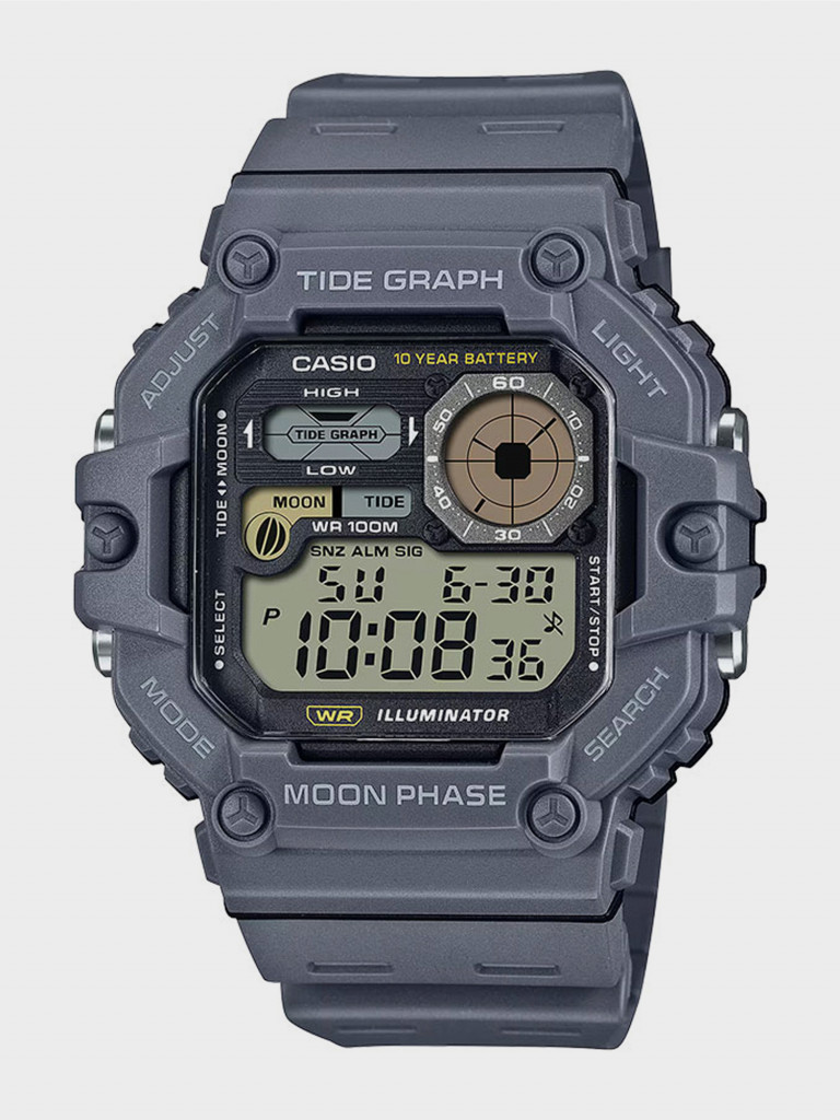 Спортивные часы CASIO WS-1700H-8A