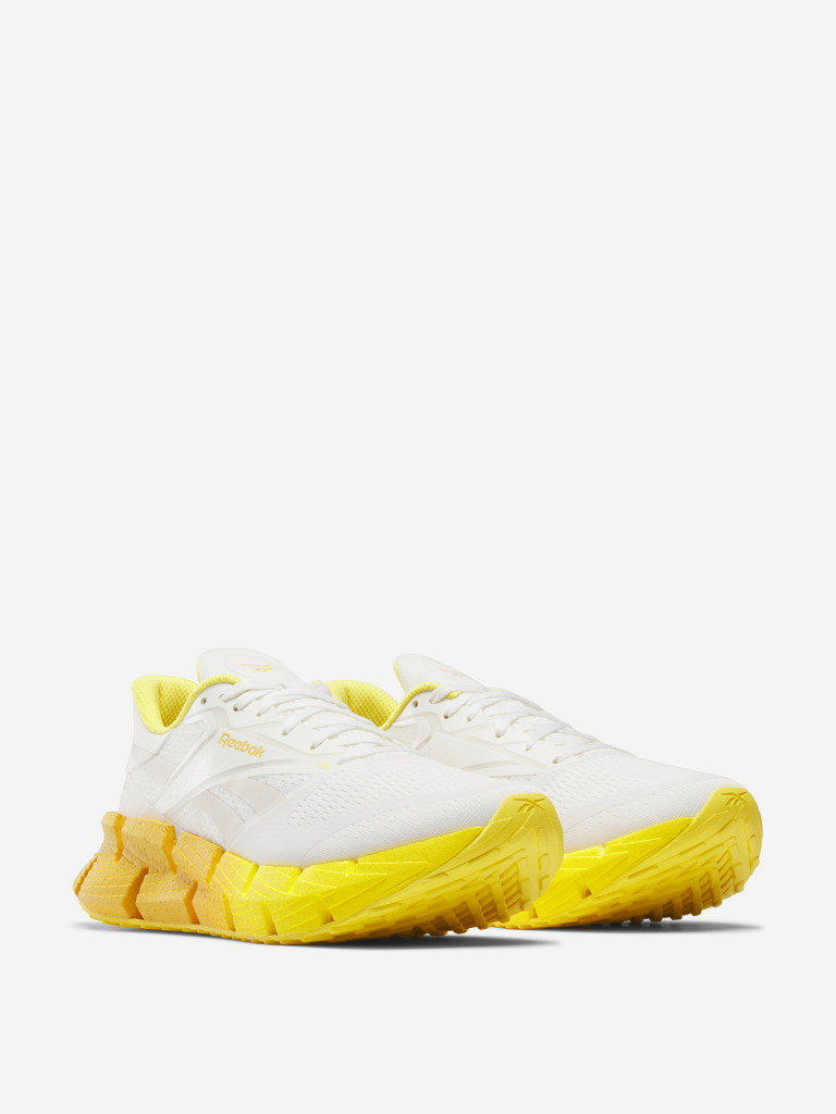 Кроссовки мужские Reebok Floatzig 1