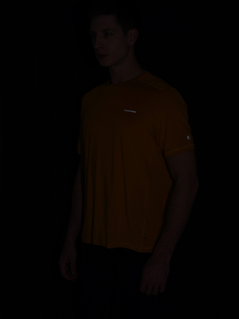 Футболка мужская CRAGHOPPERS Charon