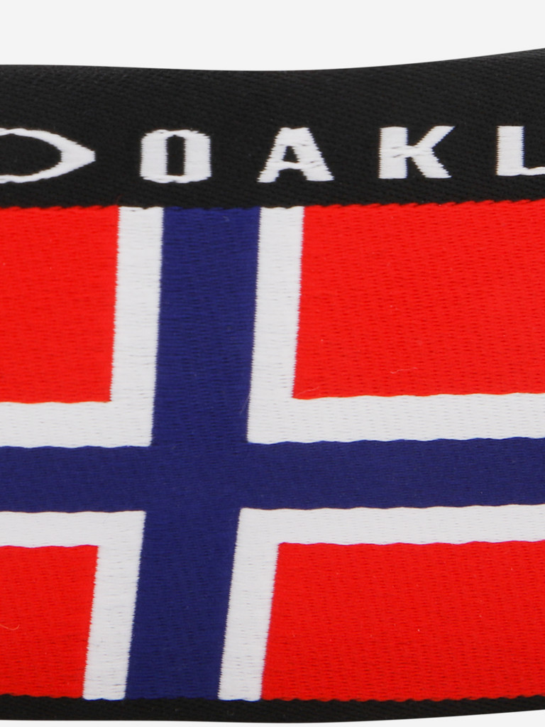 Маска Oakley FLIGHT PATH XL