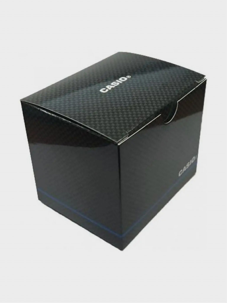 Спортивные часы CASIO WS-1600H-8A