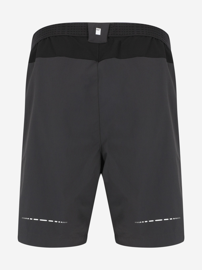 Шорты мужские Regatta Mountain II