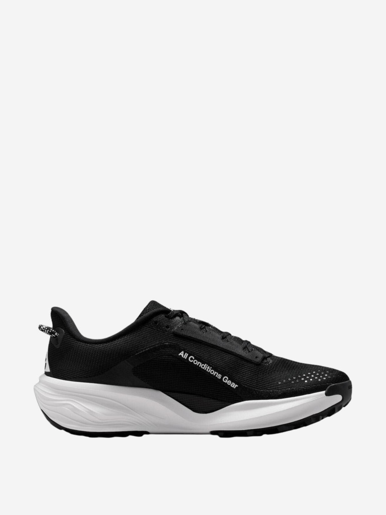 Кроссовки мужские Nike ACG Pegasus Trail