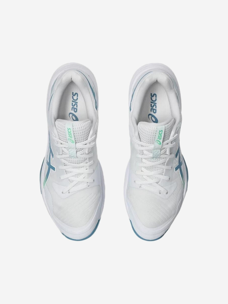 Кроссовки мужские Asics Sky Elite FF 3