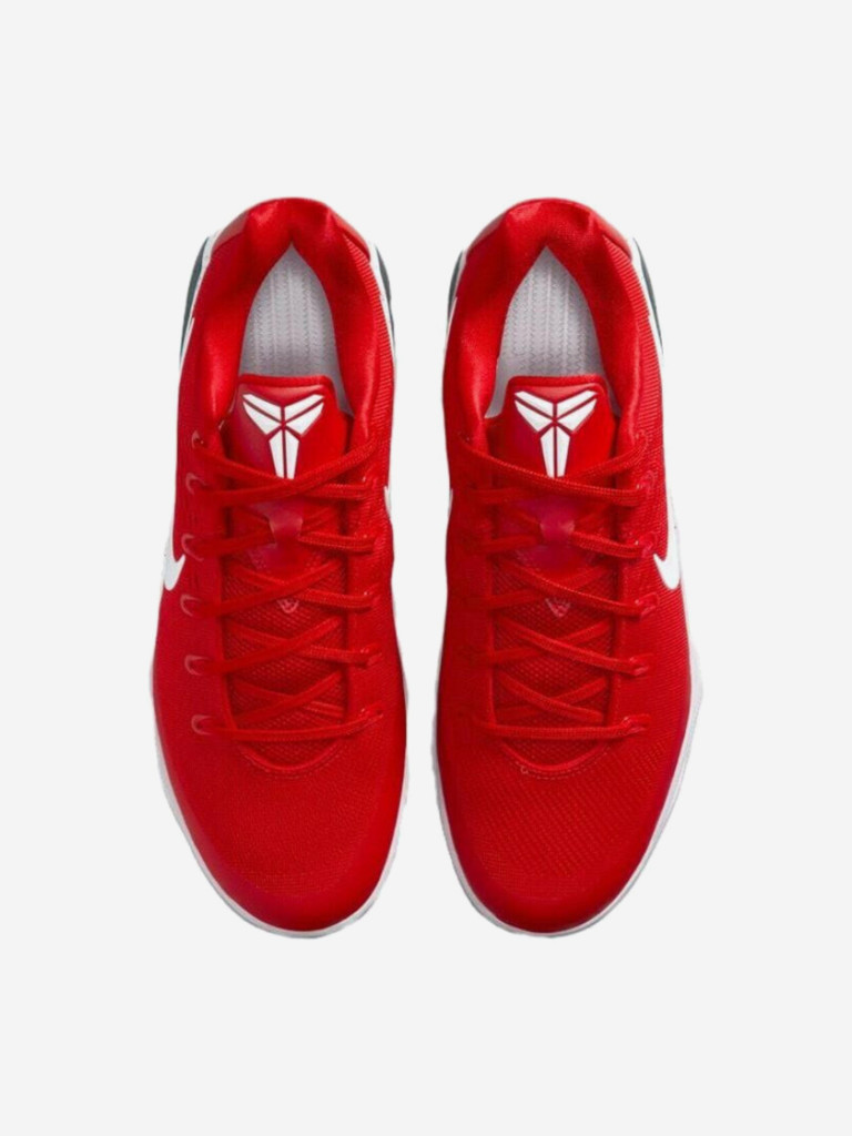 Кроссовки мужские для баскетбола Nike Kobe 9 EM
