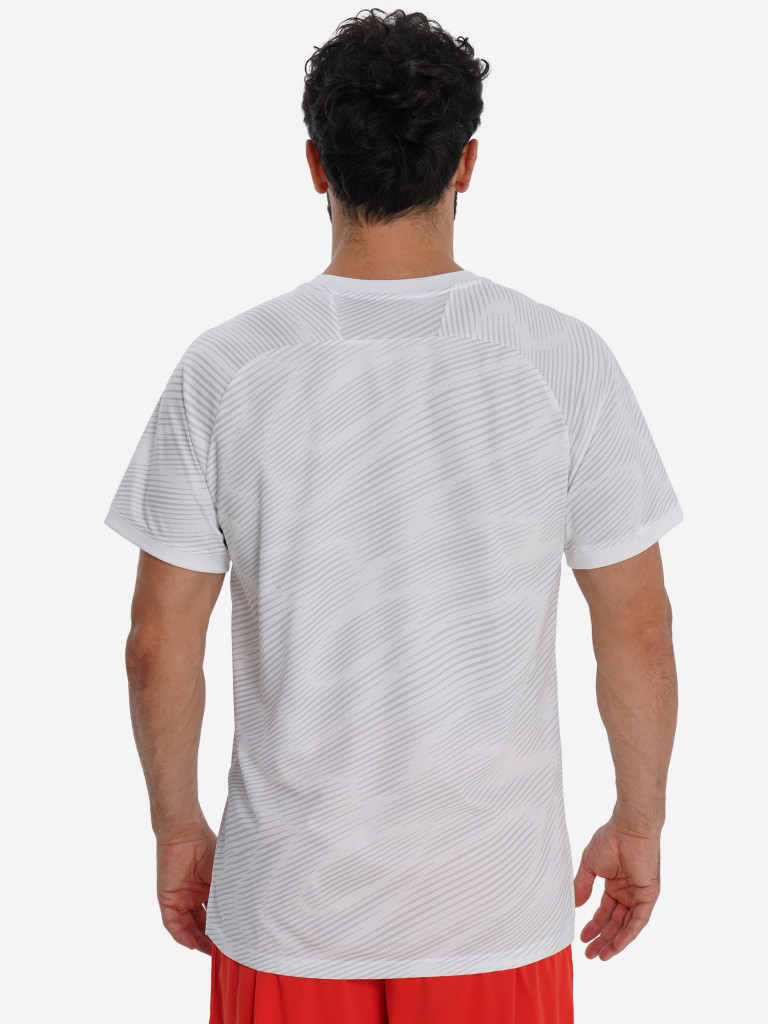 Футболка мужская Demix Winger