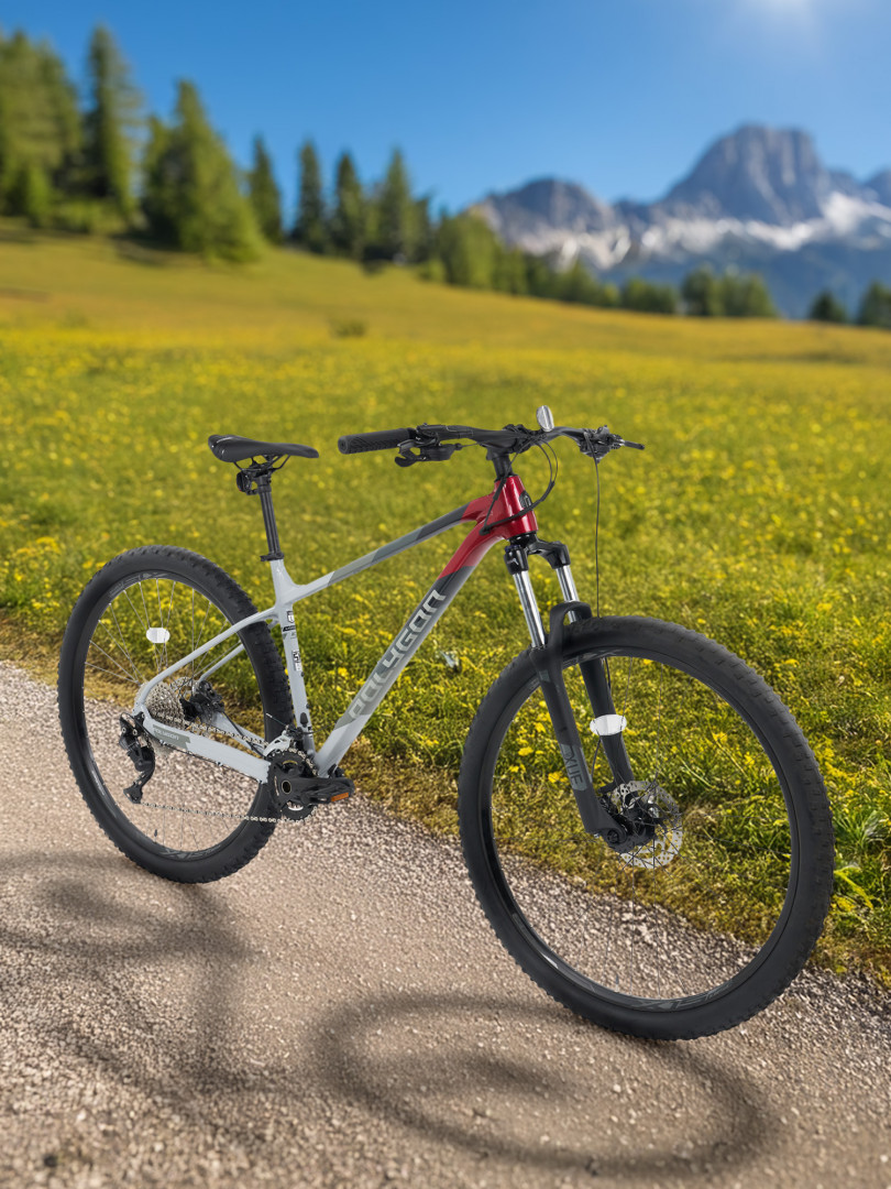 Велосипед горный Polygon Xtrada 5 29 Мультицвет 91999₽