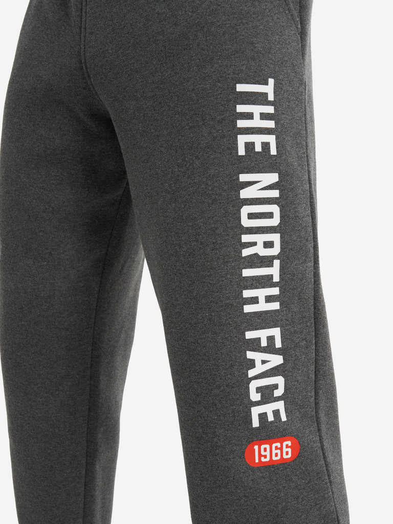 Брюки мужские The North Face Varsity Graphic