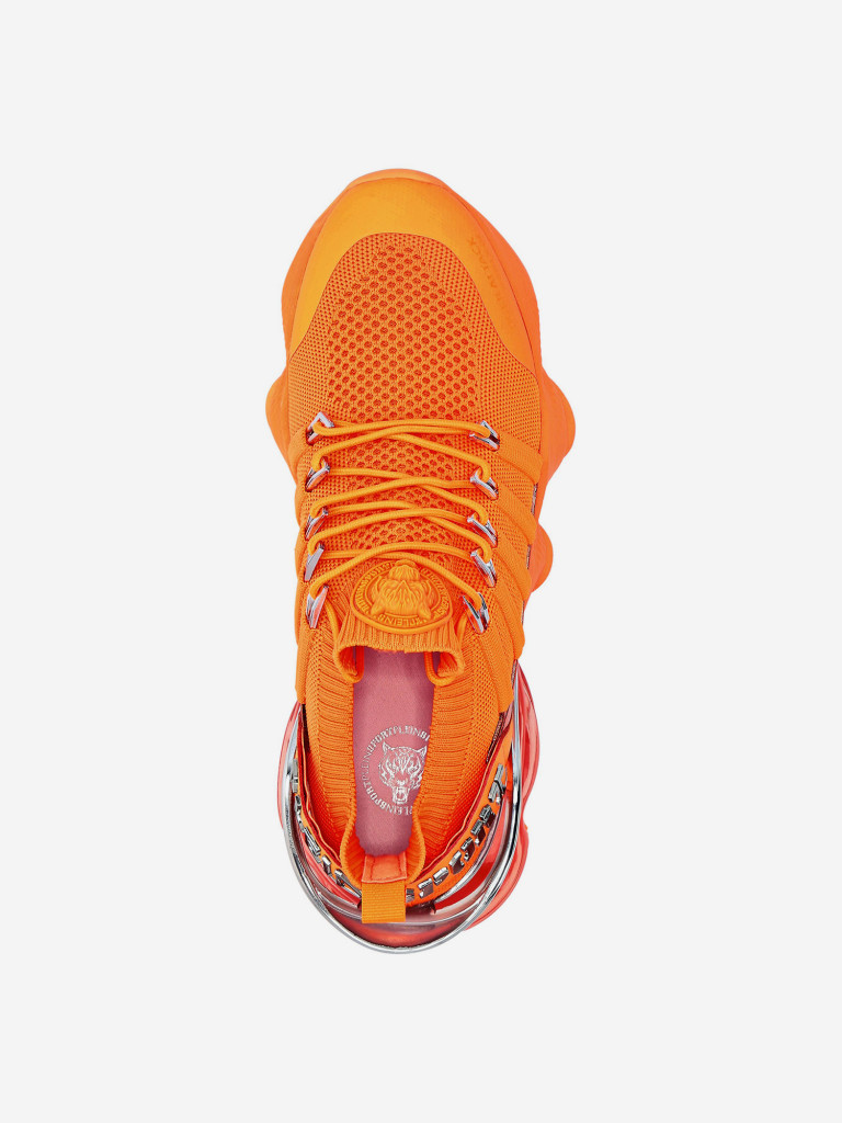 Кроссовки Plein Sport Tiger Attack//Gen.X.04
