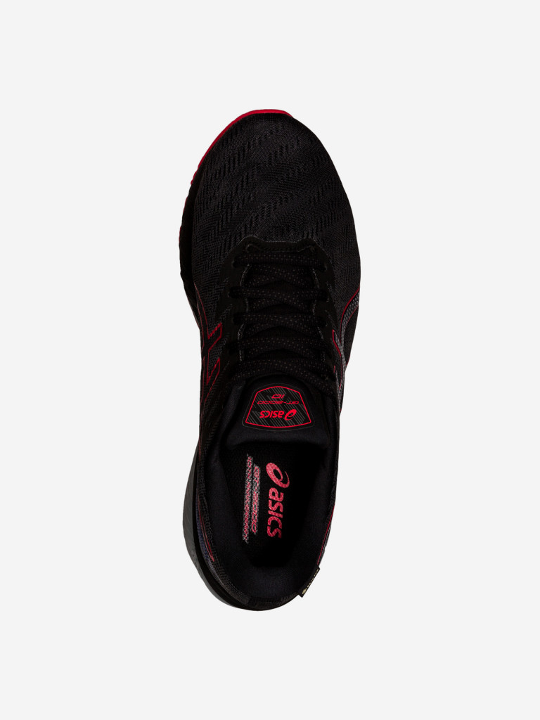 Кроссовки мужские ASICS Gt-2000 10 GTX
