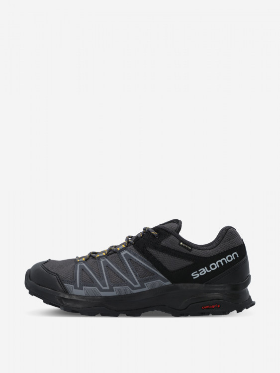 Кроссовки мужские Salomon Leonis Gtx