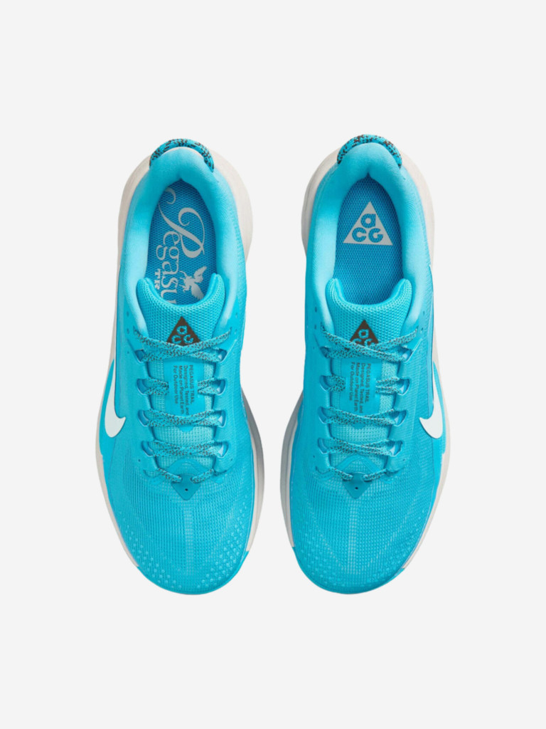 Кроссовки мужские Nike ACG Pegasus Trail