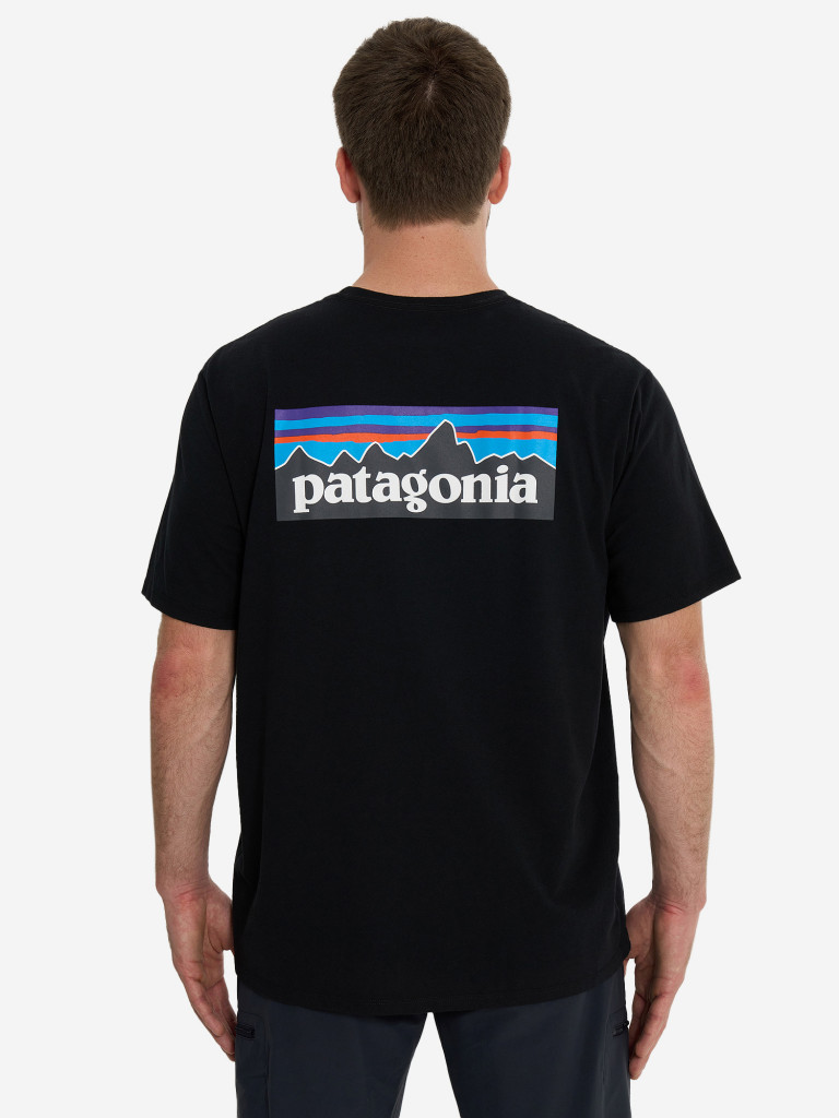 Футболка мужская Patagonia Logo