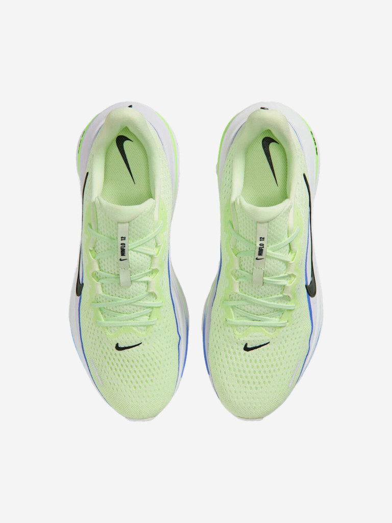 Кроссовки мужские Nike Winflo 12