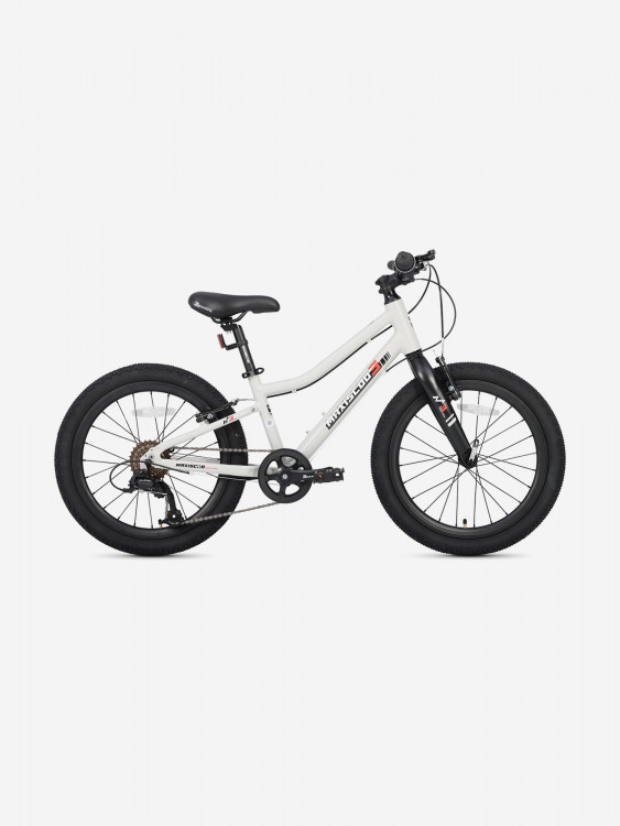 Велосипед детский Maxiscoo 3BIKE 20'' L, серый, 2025