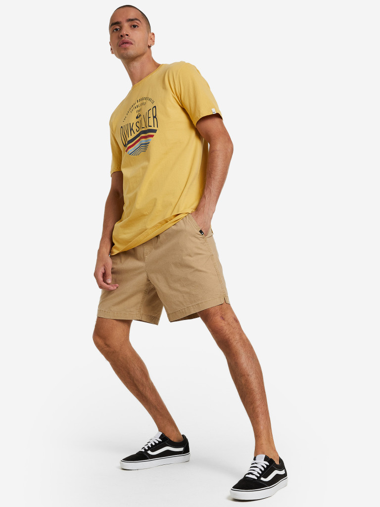 Шорты мужские Quiksilver Taxer