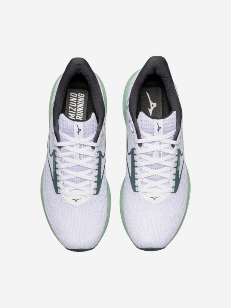 Кроссовки мужские Mizuno Wave Rider 29