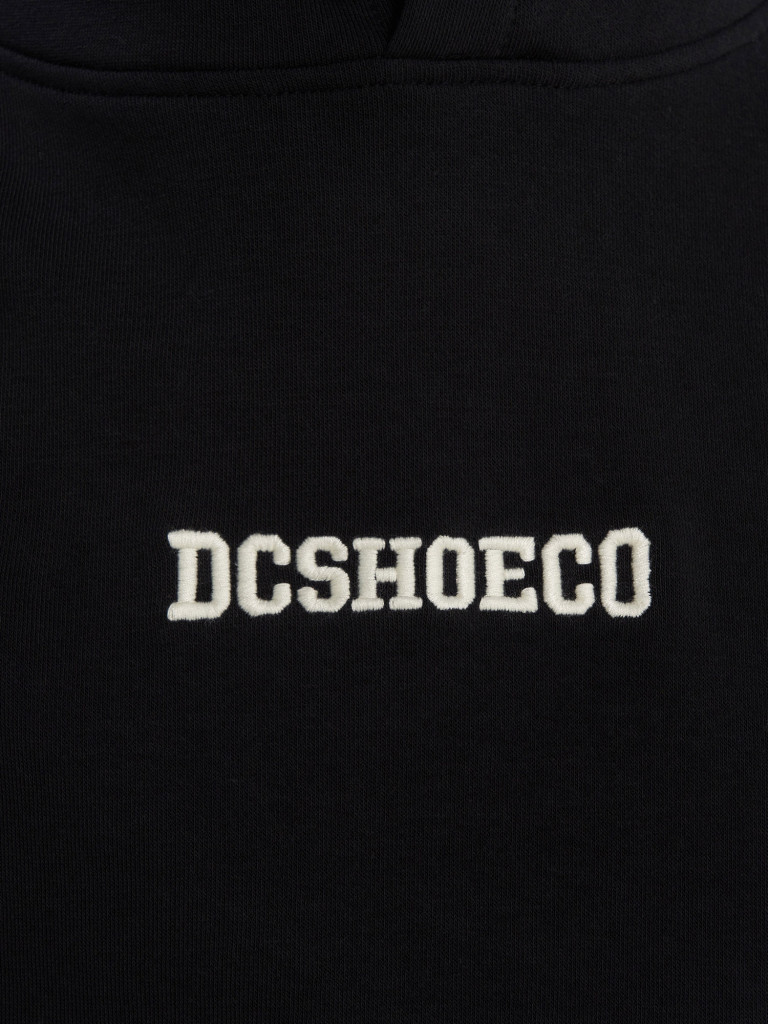 Худи мужское DC Shoes Baseline