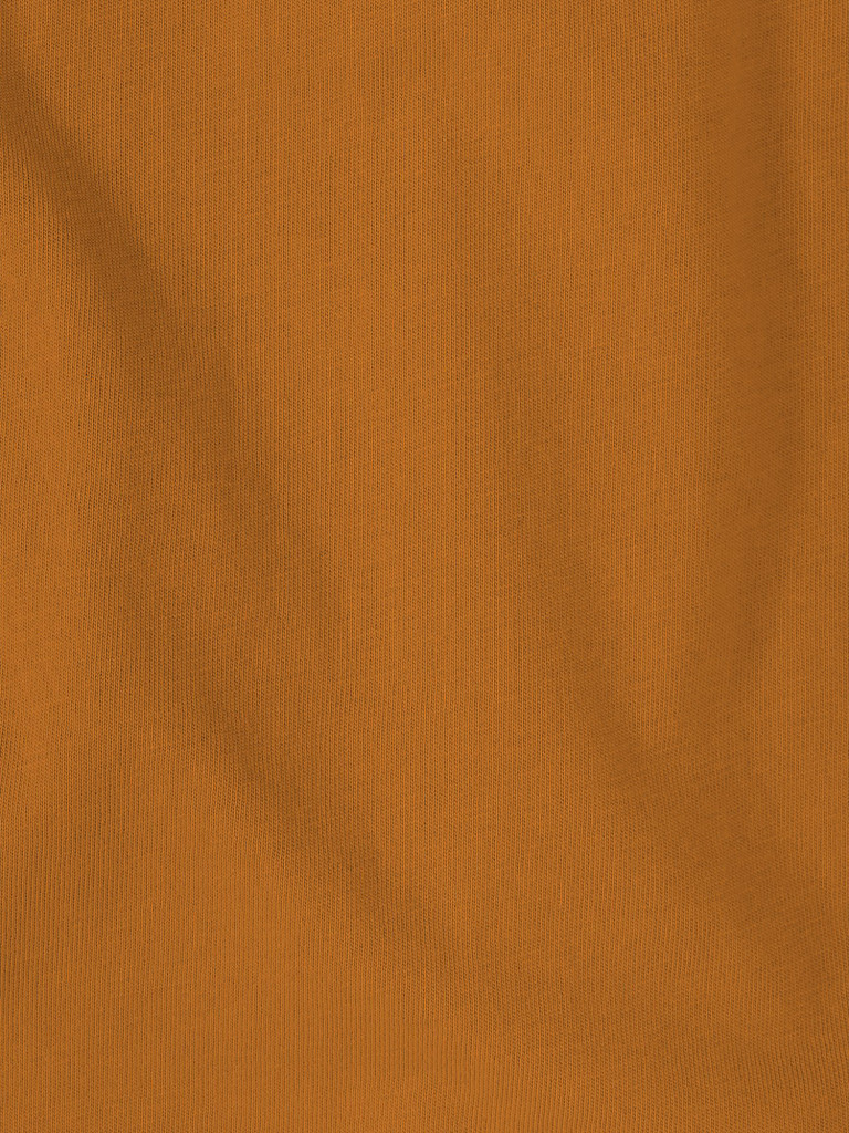 Футболка мужская Jack Wolfskin Brand