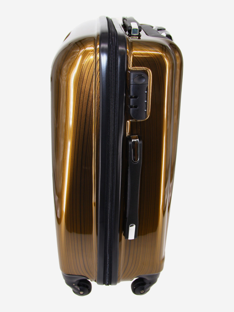 Чемодан RION+ M