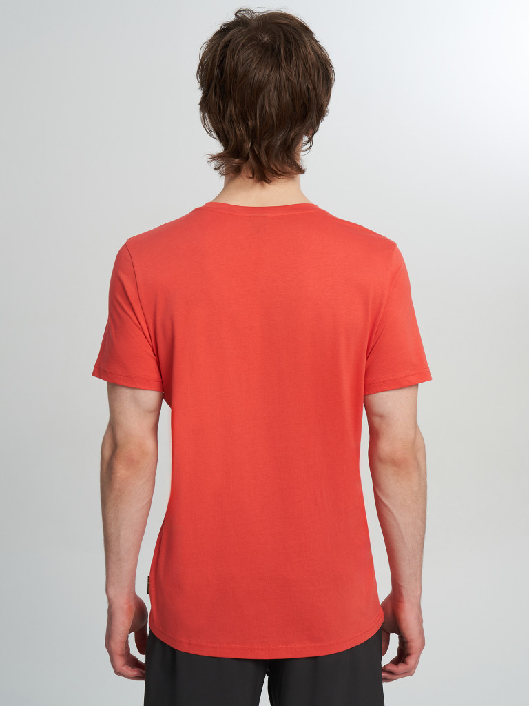 Футболка мужская Protest