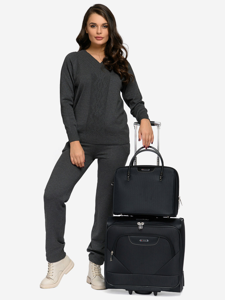 Дорожная сумка RION+