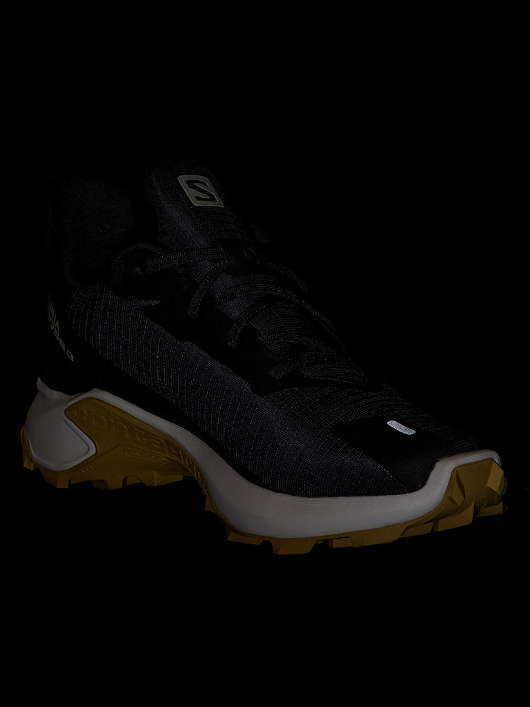 Кроссовки мужские Salomon Alphacross 3