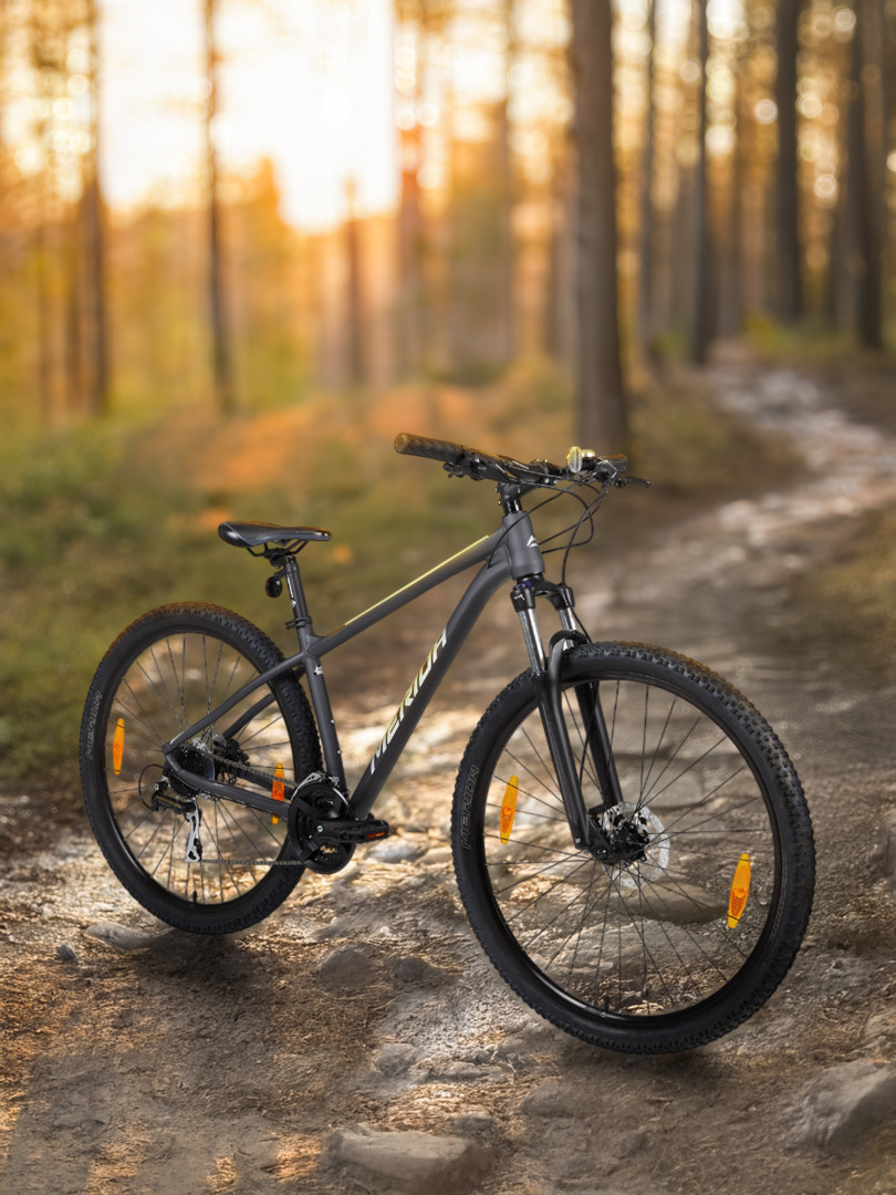 Велосипед горный Merida BigNine 20 29 Черный 71999₽