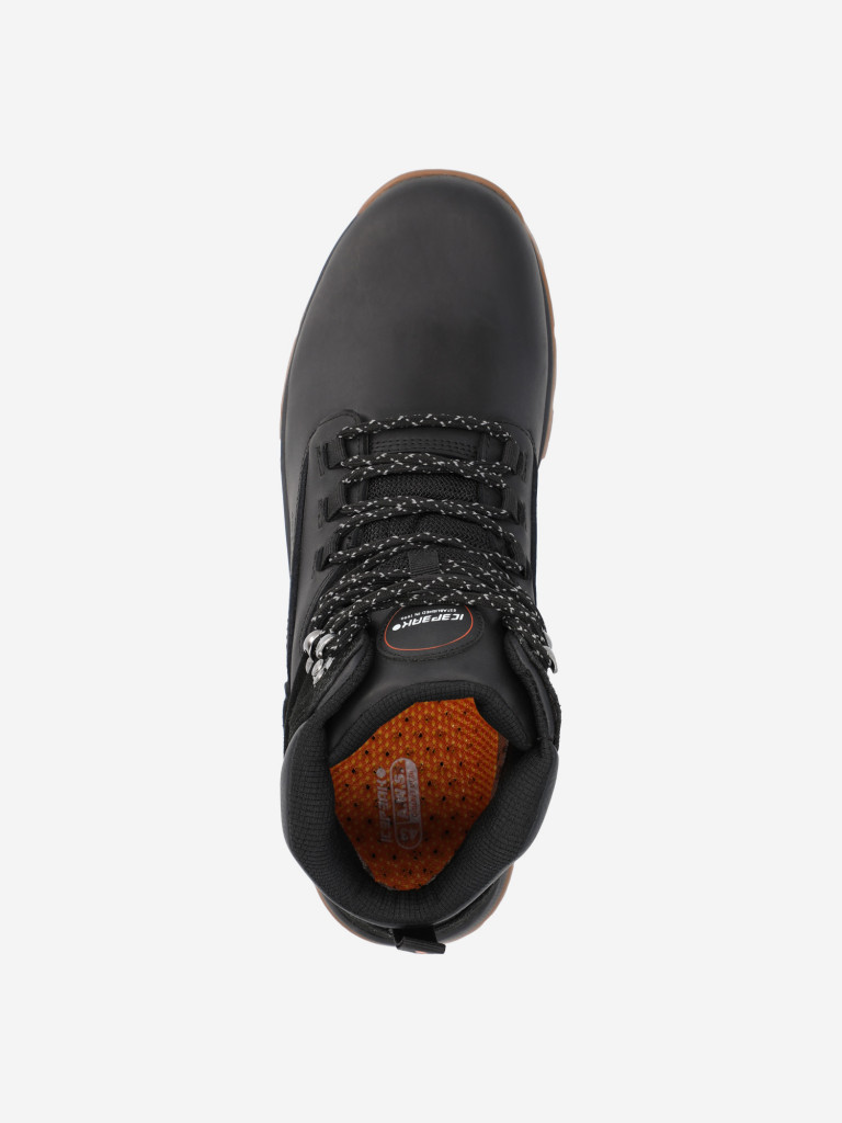 Ботинки мужские IcePeak Anabar