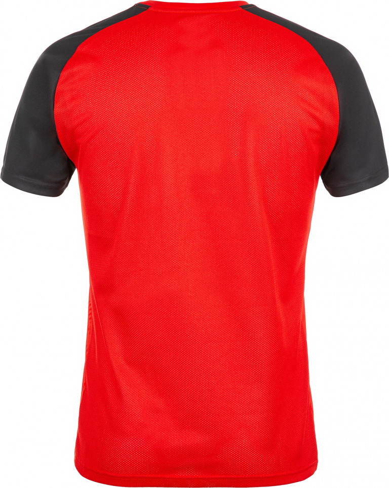 Футболка мужская PUMA