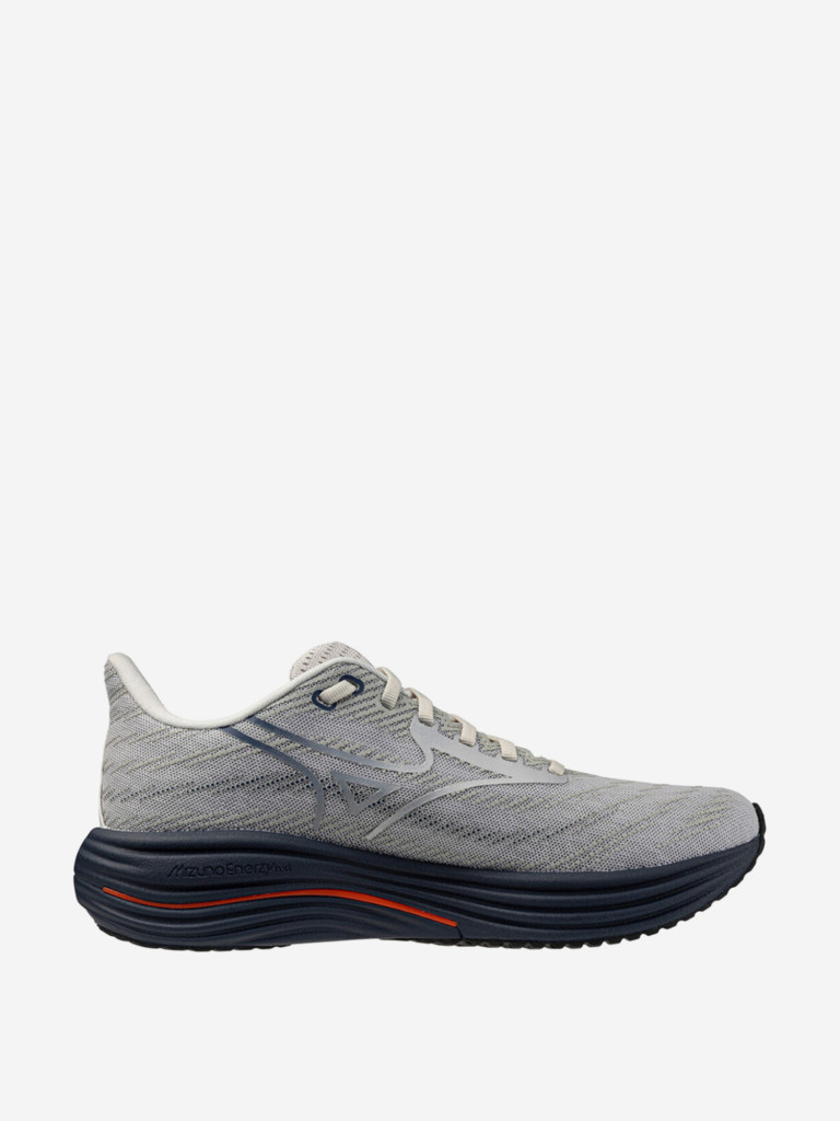 Кроссовки мужские Mizuno Wave Rider 29