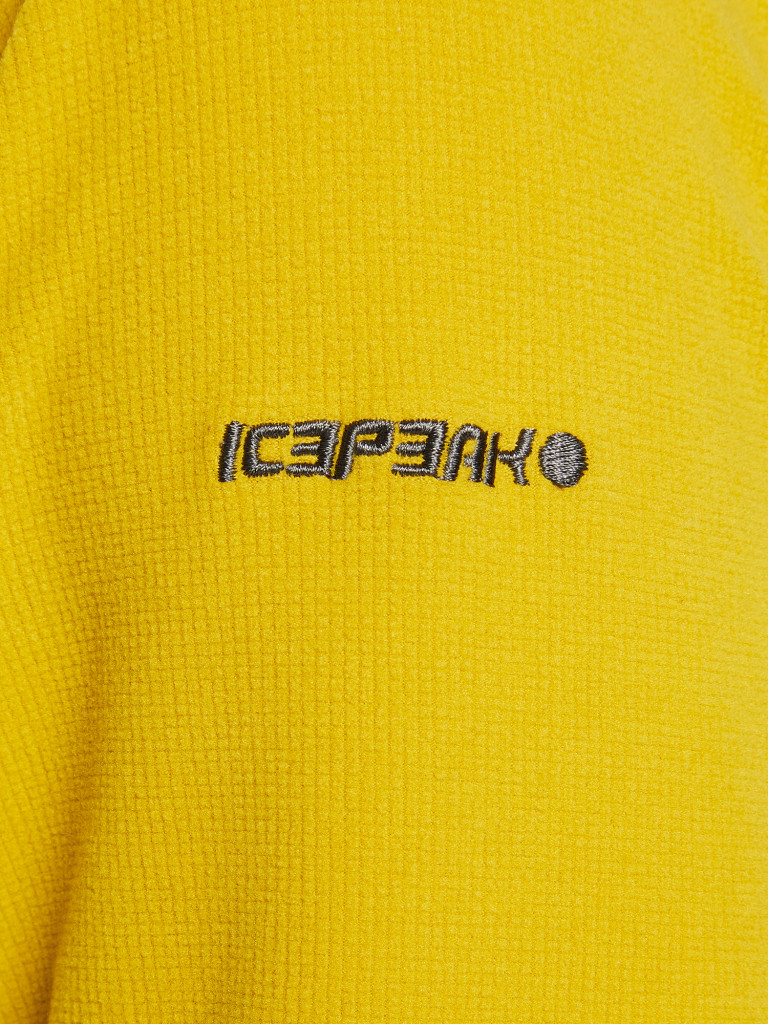 Джемпер флисовый мужской IcePeak Bevington