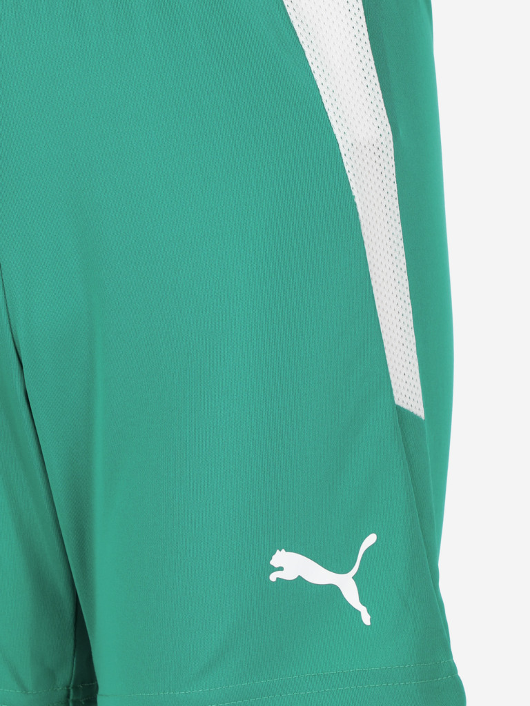 Шорты для мальчиков PUMA Teamliga Jr